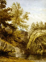 Landschaft