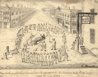 Bärenhetze, Manchester, 1819