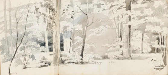 Ein Laubengang umgeben von Bäumen (recto)