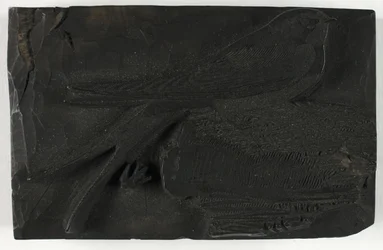Holzschnitt für Die Schwalbe, aus Eine Geschichte der britischen Vögel