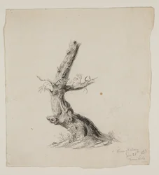 Knotiger Baumstamm mit belaubten Zweigen