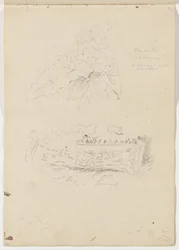 Pflanze im Kolosseum; Architektonisches Fragment