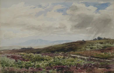Blick auf Chanctonbury, West Sussex