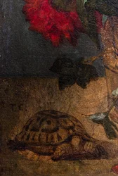 Blumenstrauß (Detail): Schildkröte, ca. 1862 oder 1871