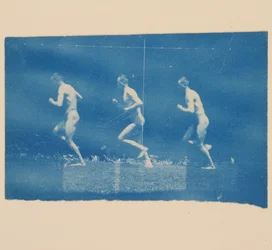 Marey-Rad-Fotografien von Jesse Godley