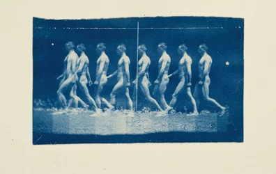 Marey-Rad-Fotografien von Jesse Godley, 1884