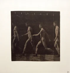 Marey-Rad-Fotografien eines unbekannten Modells, ca. 1884