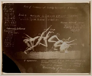 Marey-Rad-Fotografien eines unbekannten Modells, mit Notizen von Eadweard Muybridge, 1884