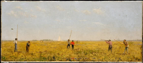 Auf der Jagd nach Rallen