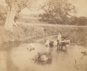 Drei Kinder und ein Hund spielen im Bach, 4. Juli 1883
