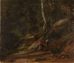 Waldstudie aus Romsdal