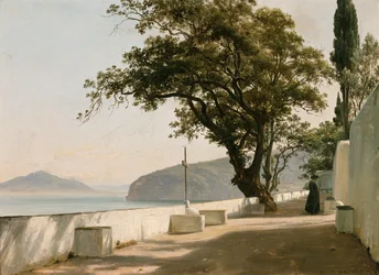 Terrasse mit Steineiche, Sorrent