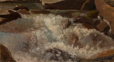 Wildwasser. Naturstudie
