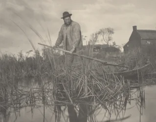 Schneiden des Gladdon, 1886