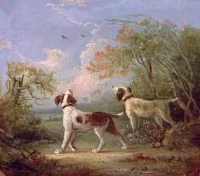 Spaniels in einer Landschaft