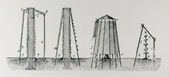 Schutz der Blüten vor Frost, aus Thomas Mawson