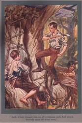 Jack, dessen Temperament in allen Gelegenheiten hitzig war, hatte heftig auf das Bienennest geschlagen