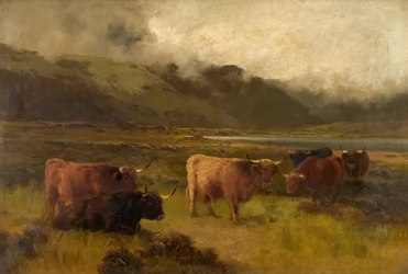 Auf Tarras Moss