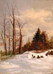 Catskill Winterlandschaft