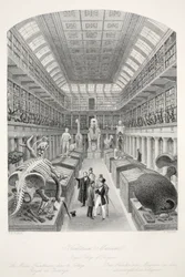 Hunterian Museum, Royal College of Surgeons, aus 