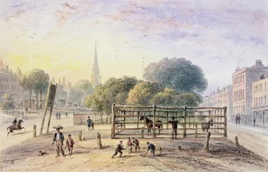 Ansicht von Islington Pound, 1850