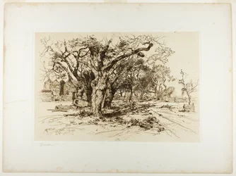 Mulfords Obstgarten, Easthampton