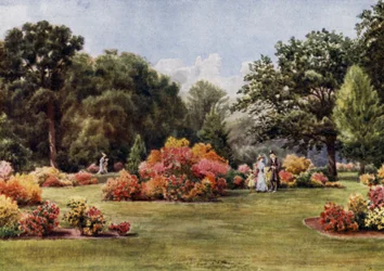 Kew Gardens: Die Azaleen (Farblithografie)