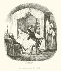 Illustration für Valentine Vox