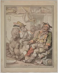Vergleichende Anatomie Studie