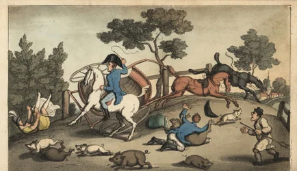 Johnny und eine Dame stürzen mit einer Kutsche in eine Schweineherde. Handkolorierte Kupferstichgravur von W. Read nach einer Illustration von Thomas Rowlandson aus Alfred Burtons Die Abenteuer von Johnny Newcombe in der Marine, Simpkin, London
