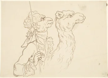 Mann und Kamel