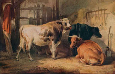 Ein Stier und drei Kühe in einem Stall, um 1856