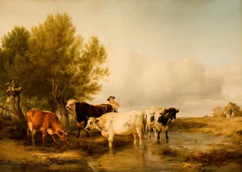 Rinder in einem Bach, 1841