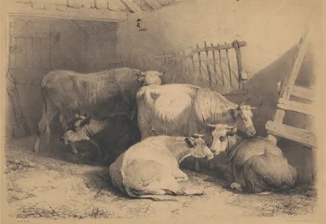 Kuhstall