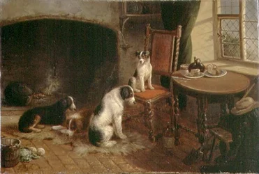 Innenraum mit Hunden
