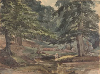 Bewaldete Flusslandschaft