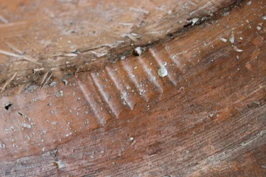 Detail der Rückseite einer Adam-und-Eva-Schüssel aus Schlickerware, Nord-Staffordshire