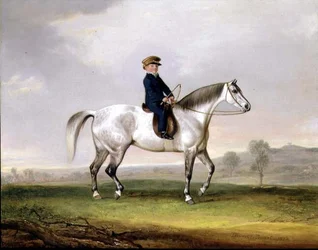 Master Edward Humphries auf seinem grauen Pony