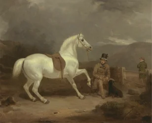 Graues Schusspferd, wahrscheinlich im Besitz von Johnston King, mit einem Stallburschen