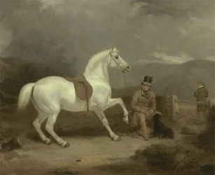 Mr. Johnstone Kings graues Jagdpony wartet mit einem Pferdeknecht in einer schottischen Heidelandschaft