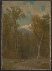 Landschaft