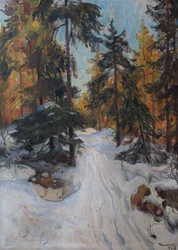 Waldinneres, Winter