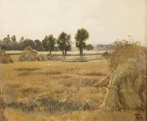 Feld mit Getreidehaufen