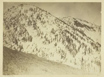 Schneegipfel, Bull Run Bergbaudistrikt, Nevada