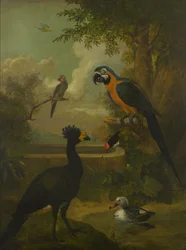 Aras und andere Vögel in einer Landschaft