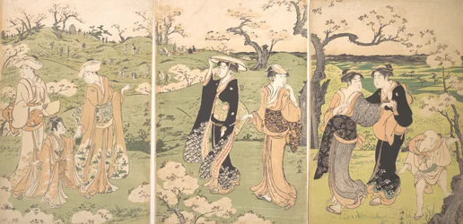 Junge Damen betrachten Kirschblüten in Asukayama