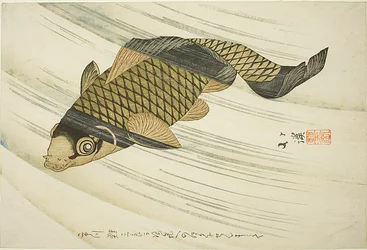 Karpfen schwimmt stromaufwärts