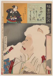 Katze von Okazaki (Okazaki Neko)