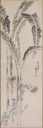 Bananenpflanze und Chrysantheme, 19. Jahrhundert