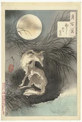 Mond über der Musashi-Ebene